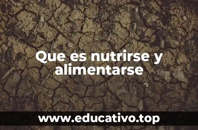 Que es nutrirse y alimentarse