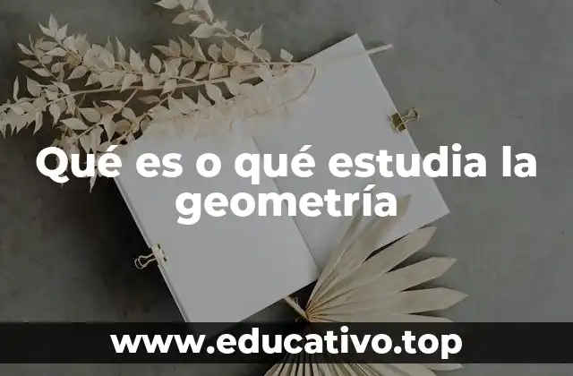 Qué es o qué estudia la geometría