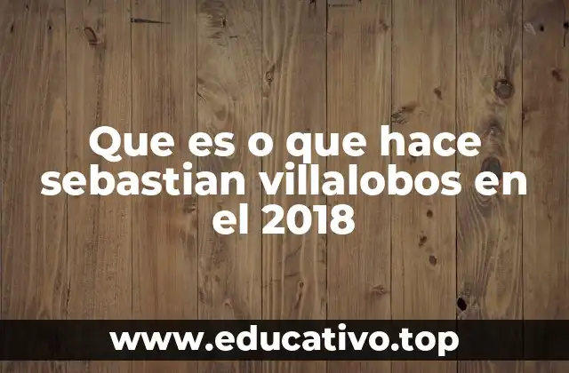 Que es o que hace sebastian villalobos en el 2018