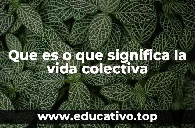 Que es o que significa la vida colectiva
