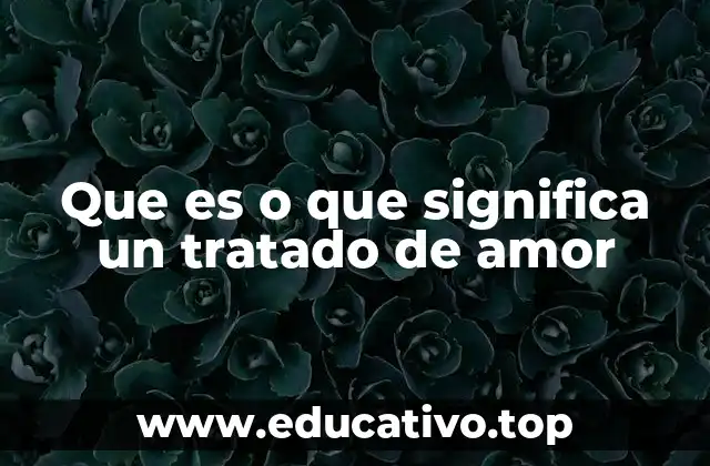 Que es o que significa un tratado de amor
