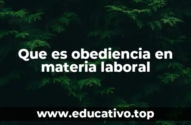 Que es obediencia en materia laboral