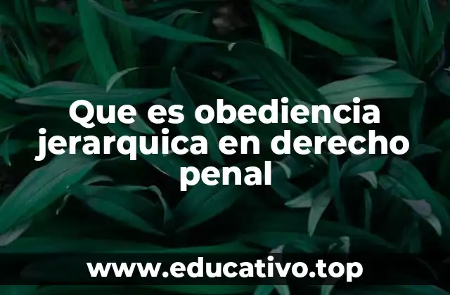 Que es obediencia jerarquica en derecho penal