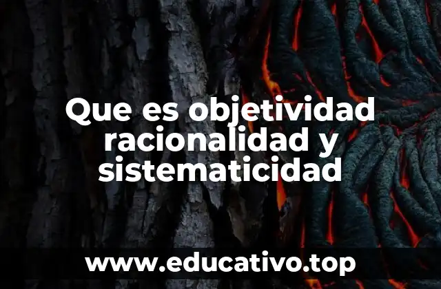 Que es objetividad racionalidad y sistematicidad