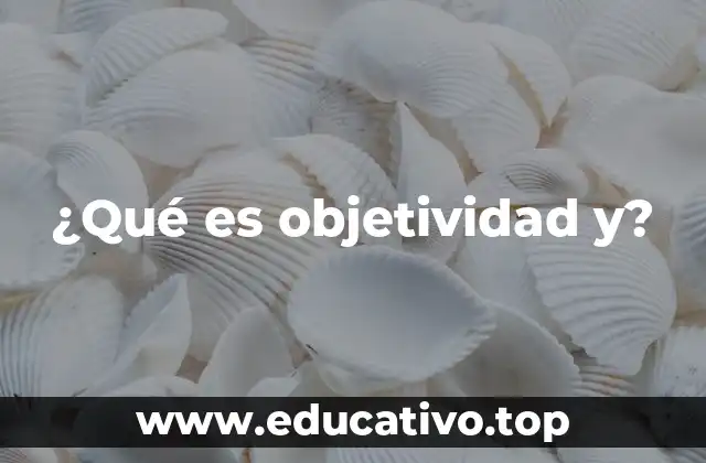 ¿Qué es objetividad y?