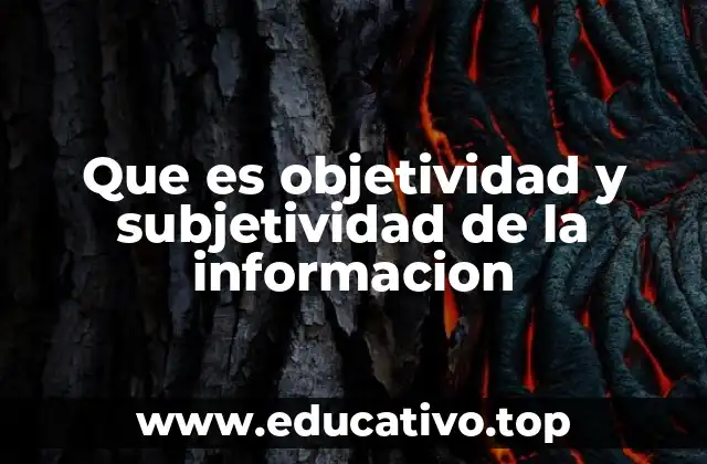 Que es objetividad y subjetividad de la informacion