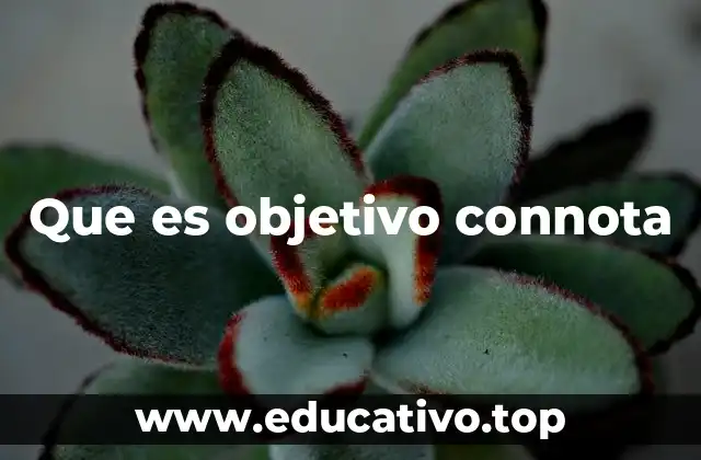 Que es objetivo connota