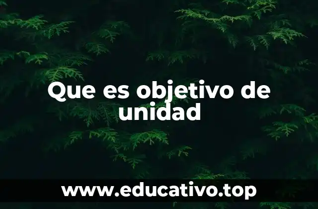 Que es objetivo de unidad
