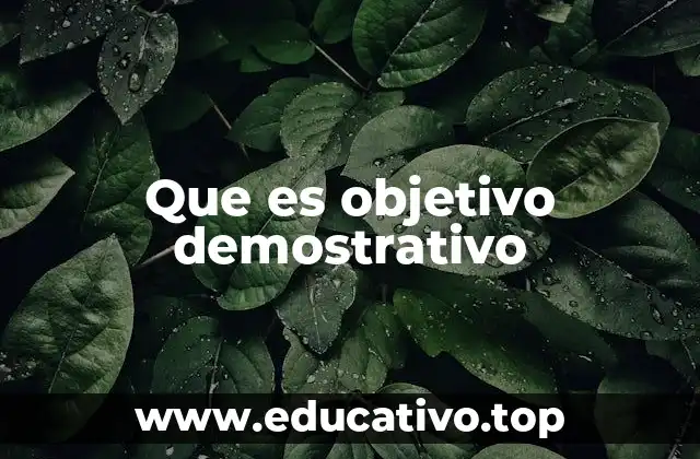 Que es objetivo demostrativo