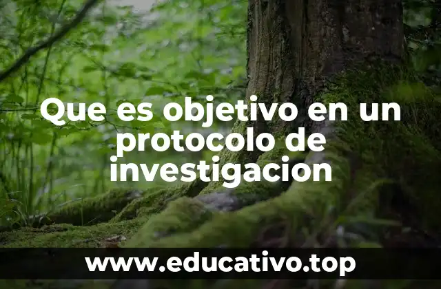 Que es objetivo en un protocolo de investigacion