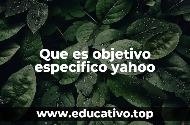 Que es objetivo especifico yahoo