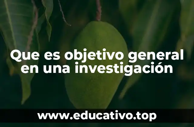 La importancia del objetivo general en el desarrollo de la investigación