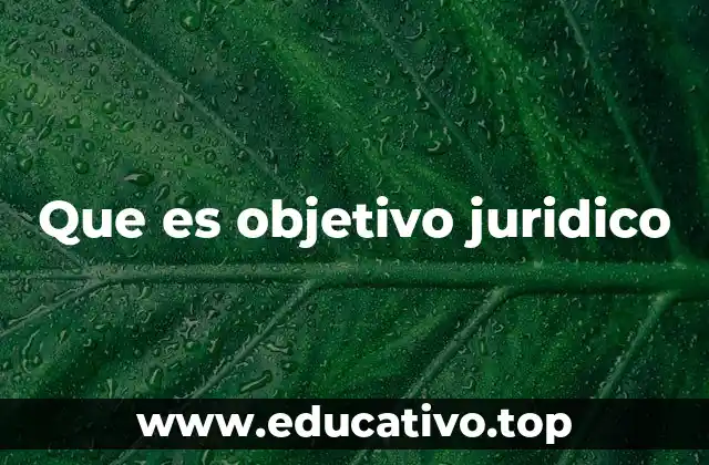 Que es objetivo juridico