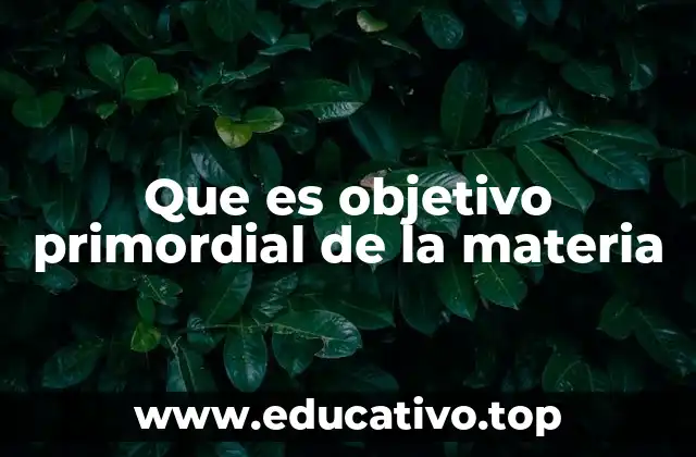 Que es objetivo primordial de la materia
