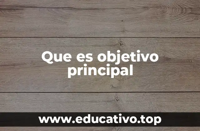 Que es objetivo principal