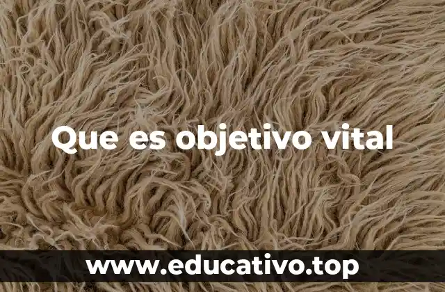 Que es objetivo vital