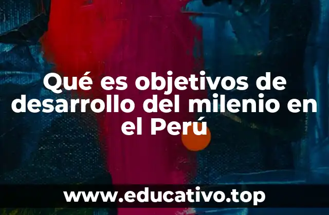 El marco institucional para la implementación de los ODM en el Perú