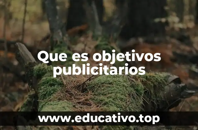 Tipos de objetivos publicitarios