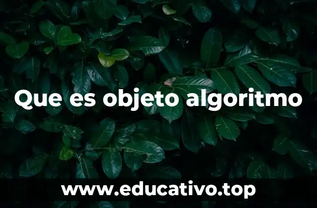 Que es objeto algoritmo
