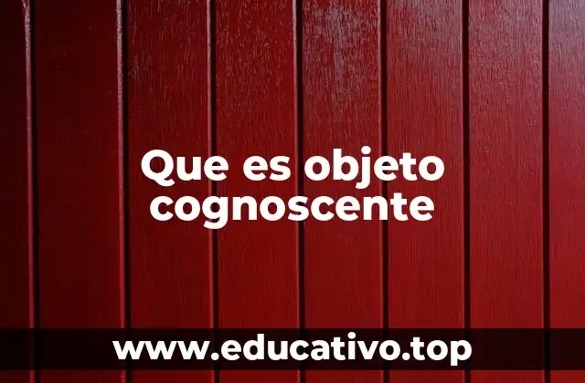 Que es objeto cognoscente