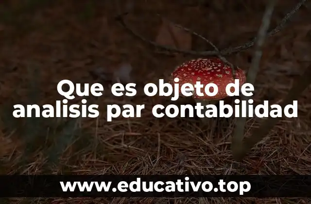 Que es objeto de analisis par contabilidad
