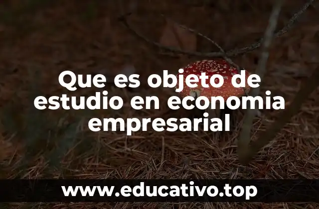 Que es objeto de estudio en economia empresarial
