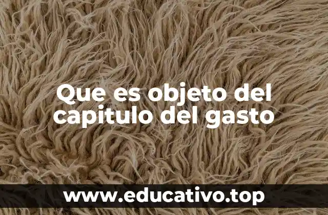 Que es objeto del capitulo del gasto