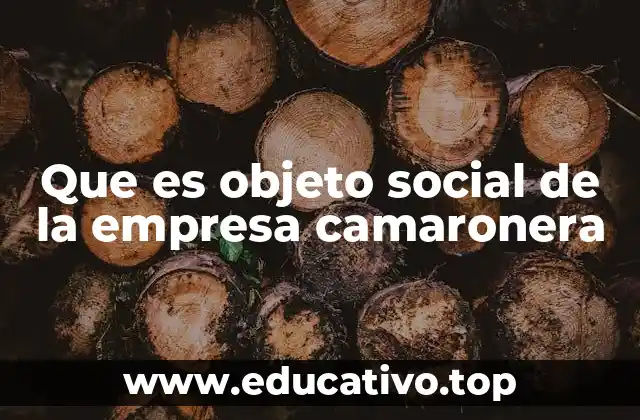 Que es objeto social de la empresa camaronera