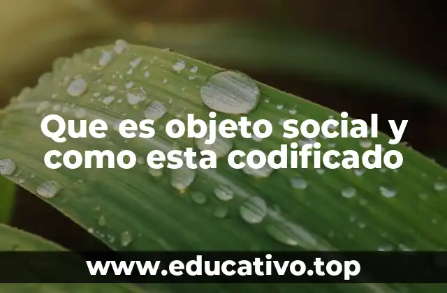 Que es objeto social y como esta codificado