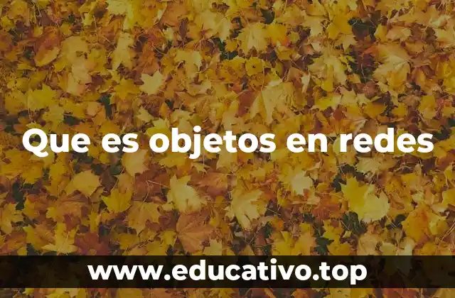 Que es objetos en redes