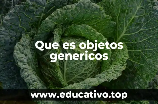 Que es objetos genericos