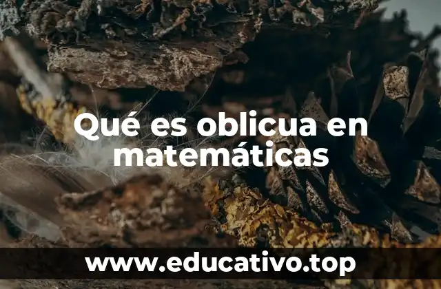 Qué es oblicua en matemáticas