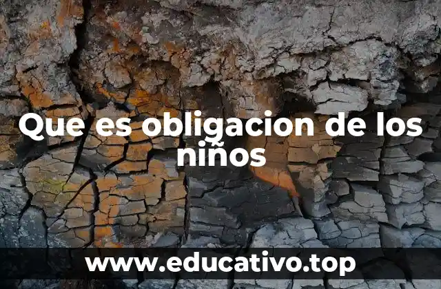 Que es obligacion de los niños