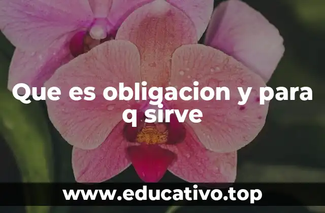 Que es obligacion y para q sirve