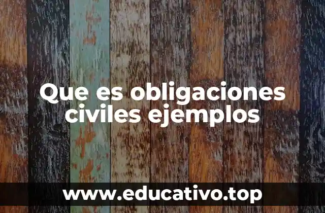 Que es obligaciones civiles ejemplos