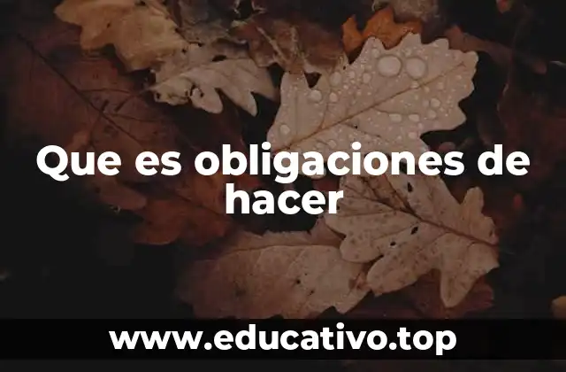 Que es obligaciones de hacer