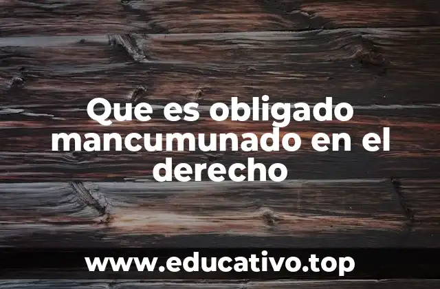 Que es obligado mancumunado en el derecho