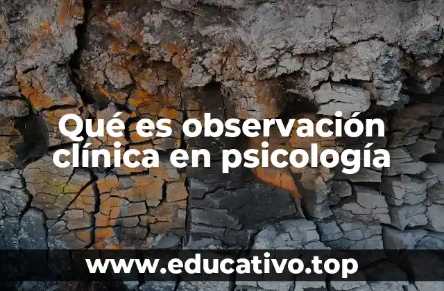Qué es observación clínica en psicología