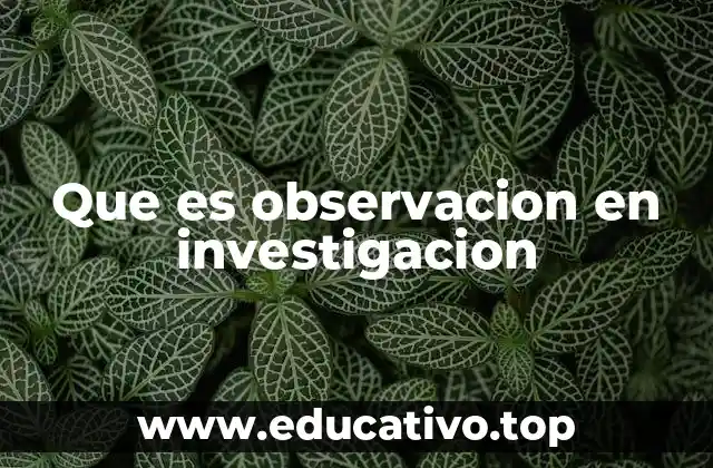 Que es observacion en investigacion