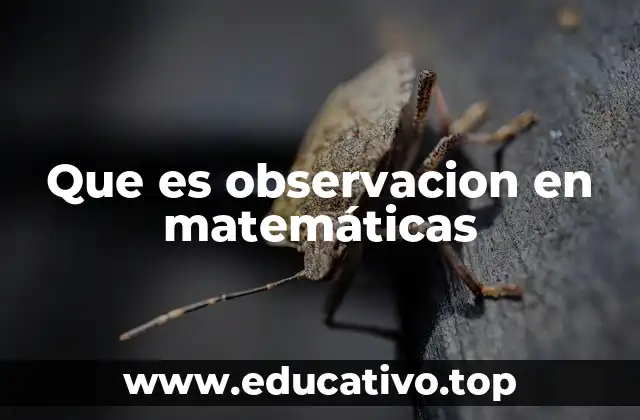 Que es observacion en matemáticas
