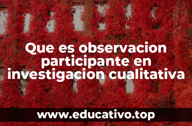 Que es observacion participante en investigacion cualitativa