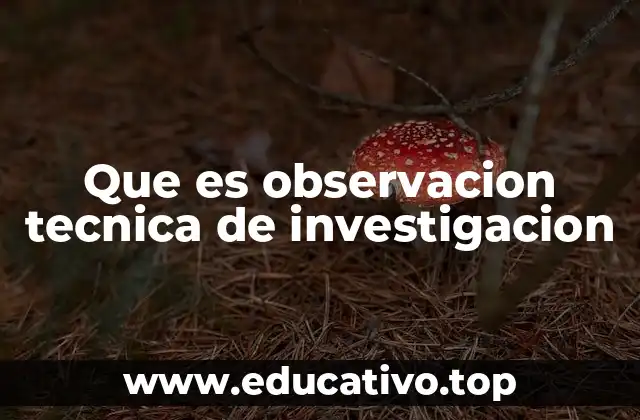 Que es observacion tecnica de investigacion