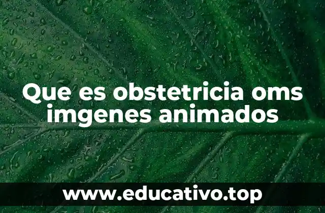 Que es obstetricia oms imgenes animados