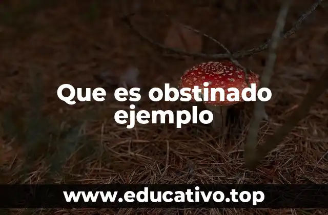 Que es obstinado ejemplo