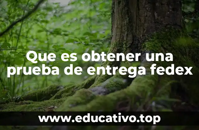 Que es obtener una prueba de entrega fedex