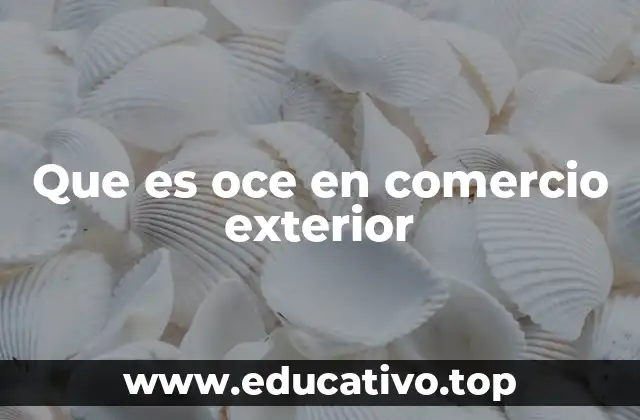 Que es oce en comercio exterior
