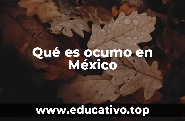 Qué es ocumo en México