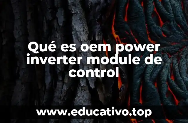 Componentes y funcionamiento del módulo inversor OEM