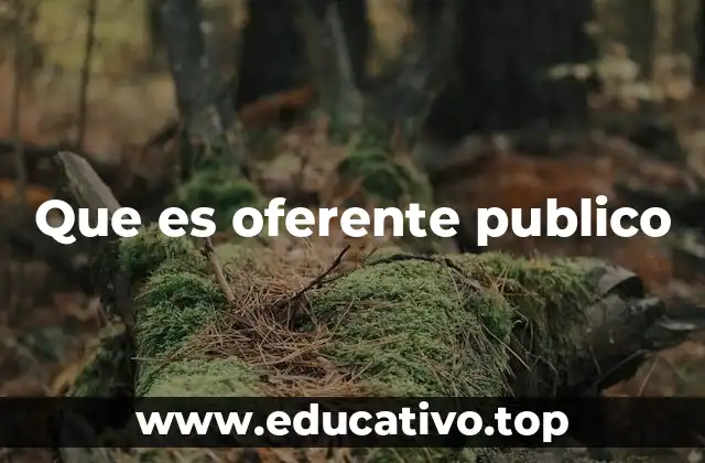 El rol de los oferentes en los procesos de contratación pública