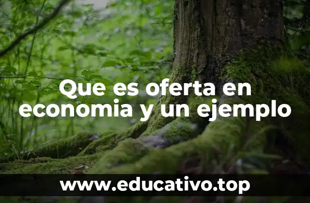 Que es oferta en economia y un ejemplo